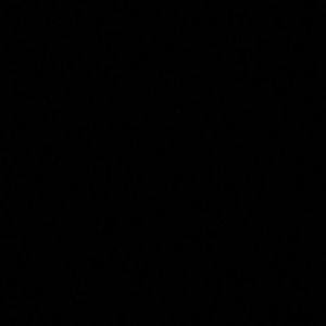 Meet your Posher, Kenzie